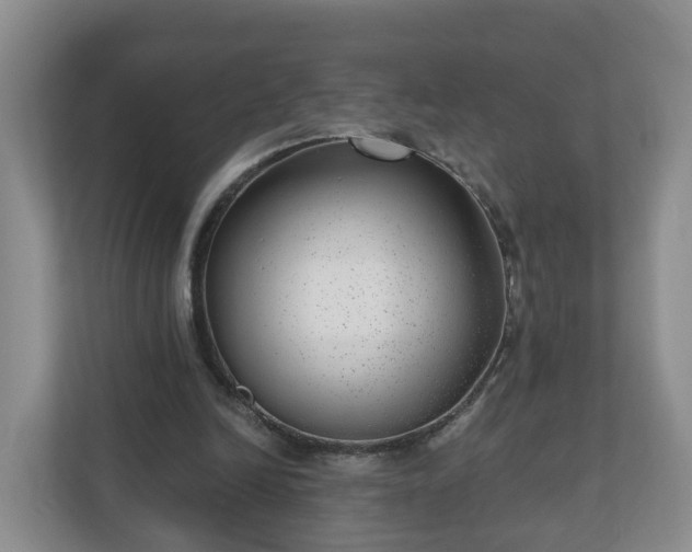 X0000111040246200907021604