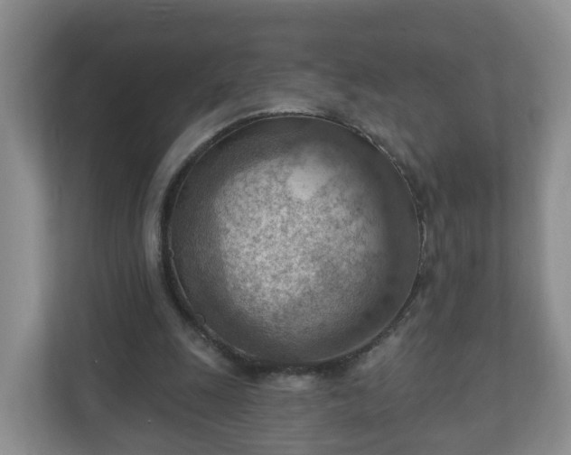 X0000111040247200907021604
