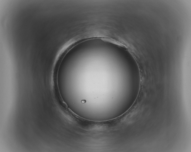 X0000111040248200907021604