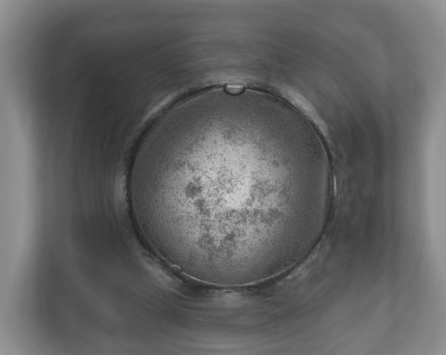 X0000111040249200907021604