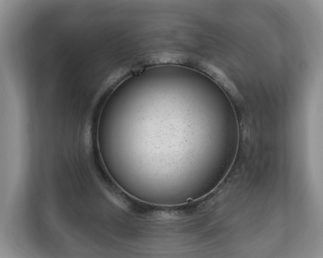 X0000111040250200907021604