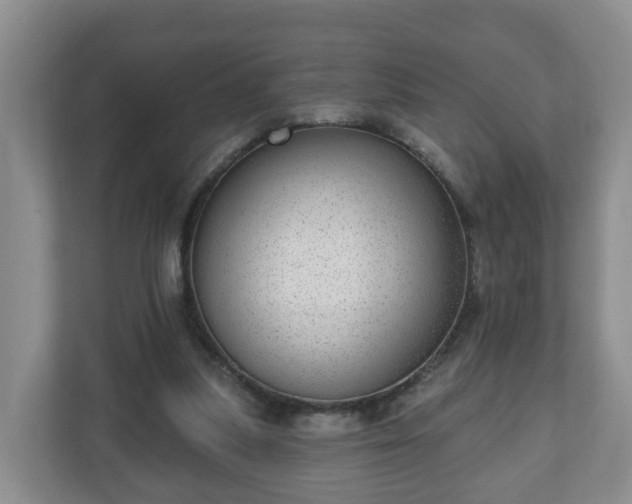 X0000111040251200907021604