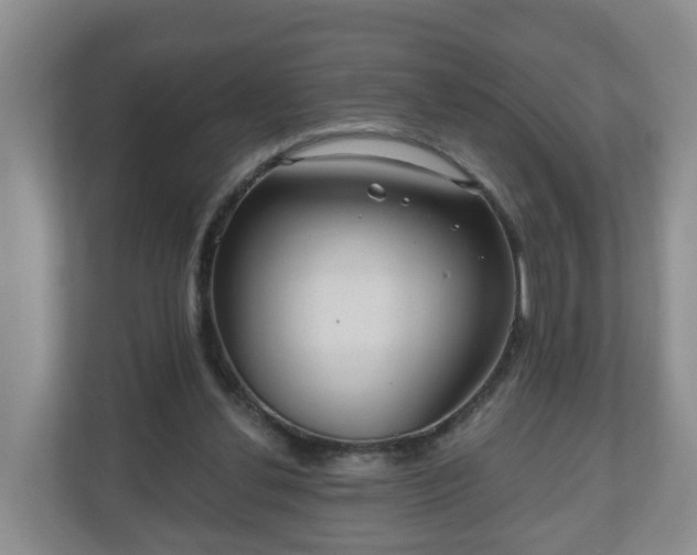 X0000111040252200907021604