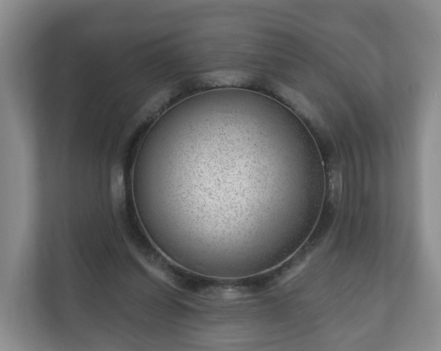 X0000111040254200907021604