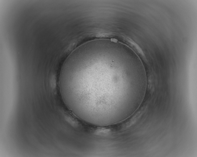X0000111040257200907021604