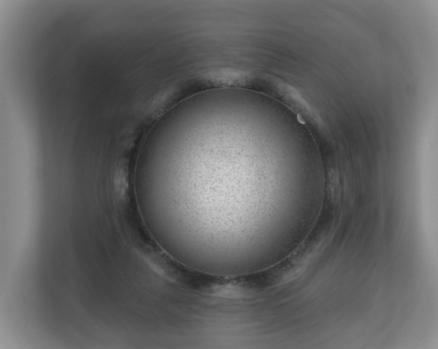 X0000111040259200907021604