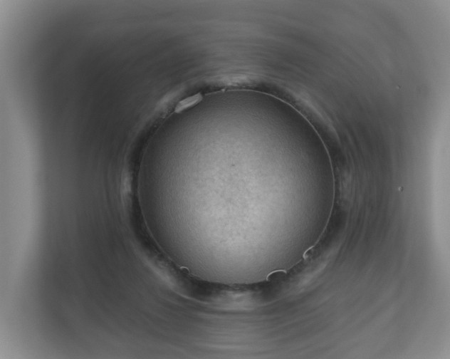X0000111040260200907021604