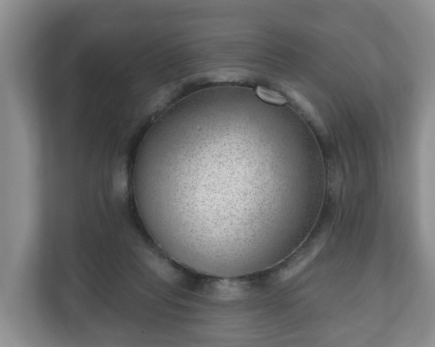 X0000111040261200907021604