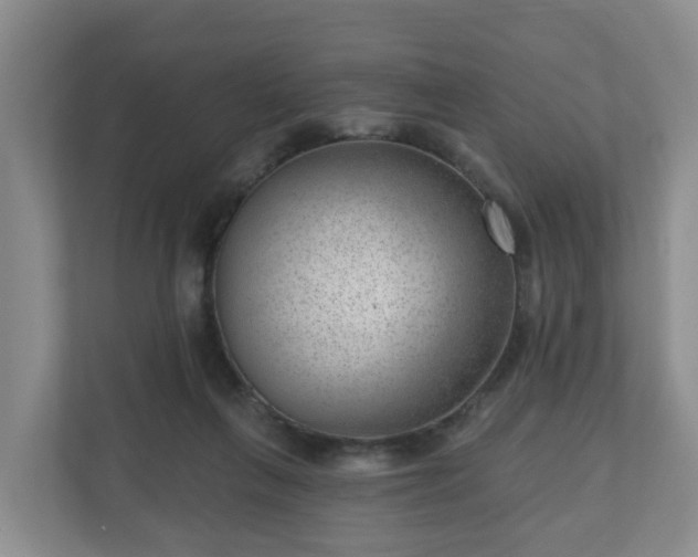 X0000111040263200907021604