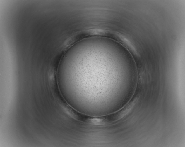X0000111040265200907021604