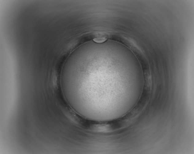 X0000111040266200907021604