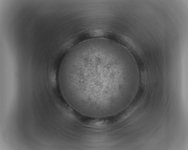X0000111040267200907021604
