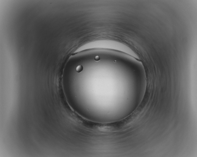 X0000111040268200907021605