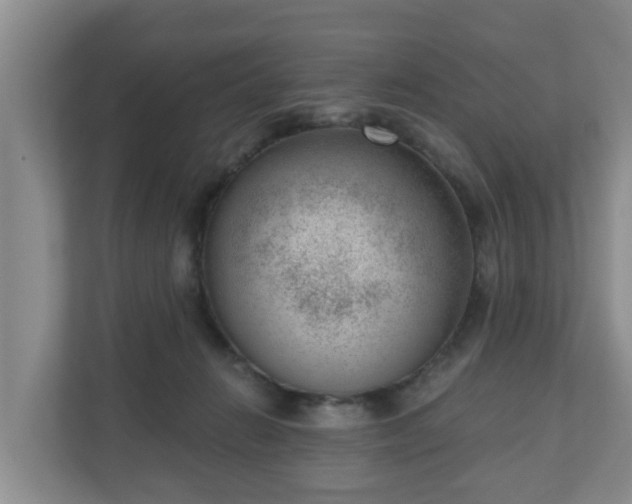 X0000111040270200907021605