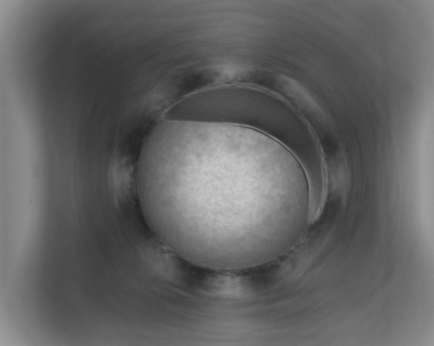 X0000111040276200907021605