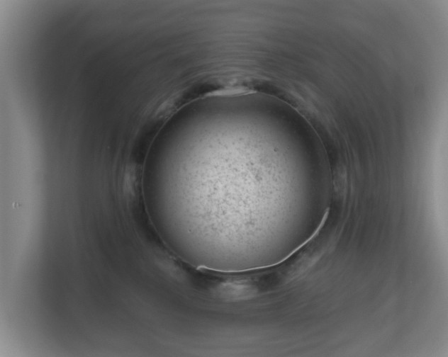 X0000111040280200907021605