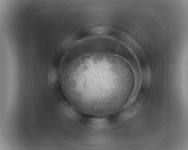 X0000111040284200907021605