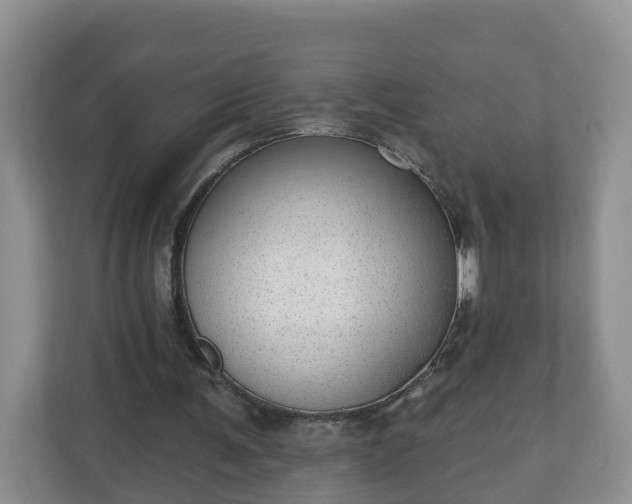 X0000111040291200907021604