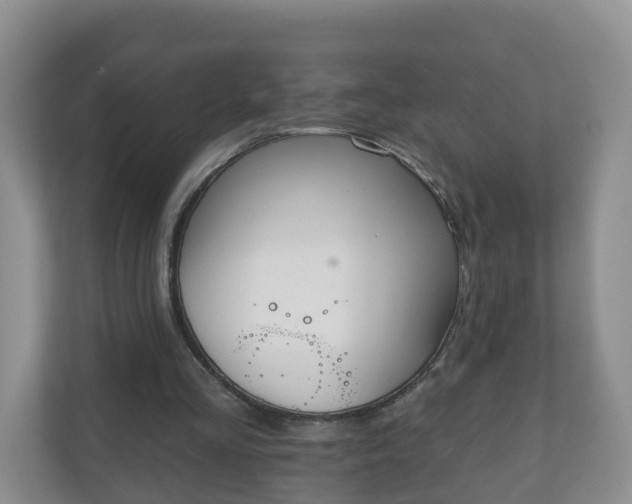 X0000111040293200907021604