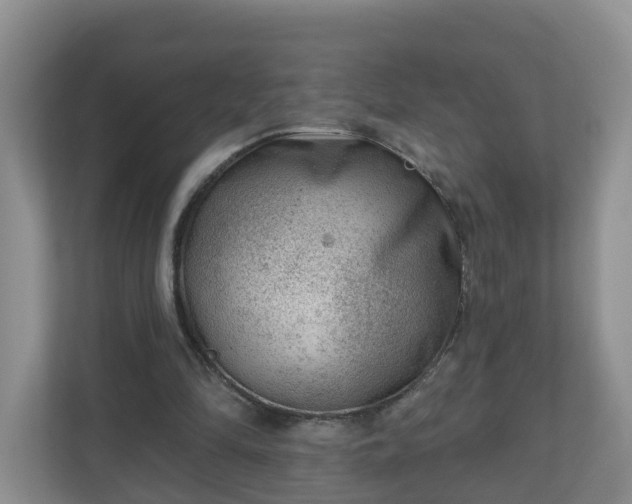X0000111040294200907021604