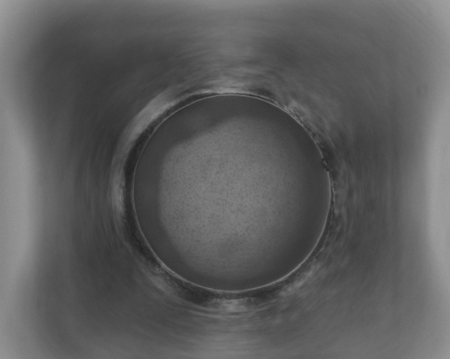 X0000111040295200907021604