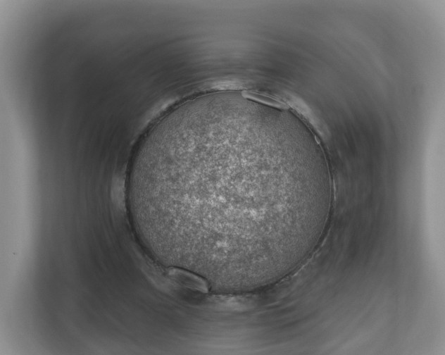 X0000111040297200907021604