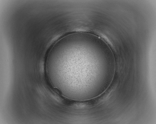 X0000111040299200907021604