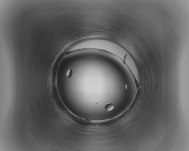 X0000111040300200907021604