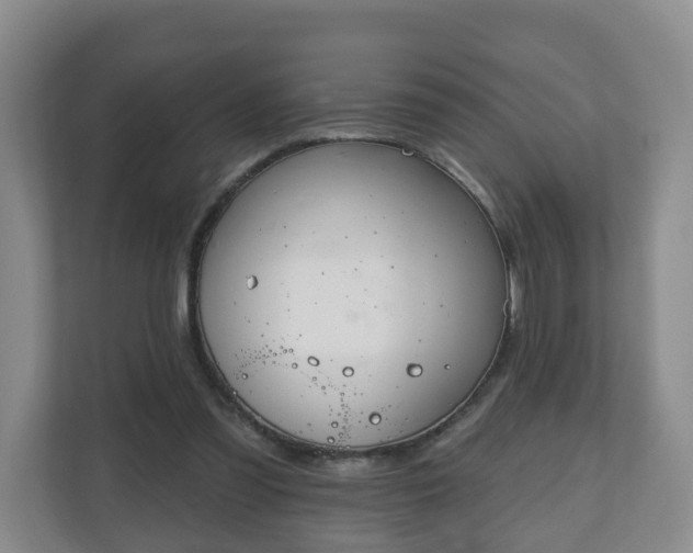 X0000111040301200907021604