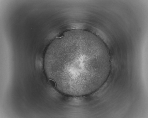 X0000111040305200907021604