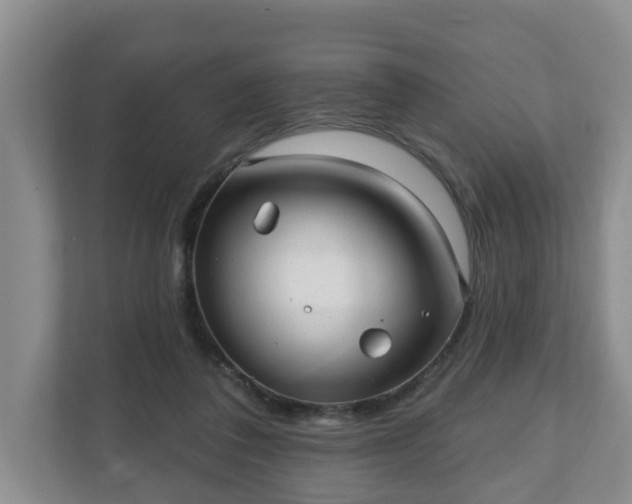 X0000111040308200907021604