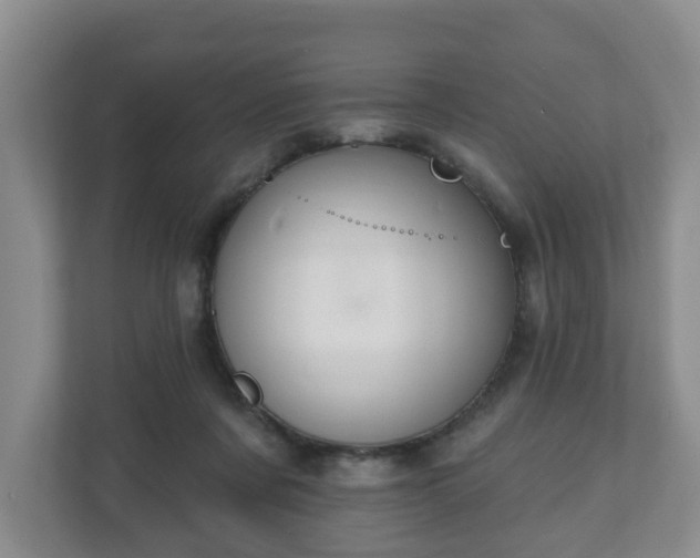X0000111040311200907021604