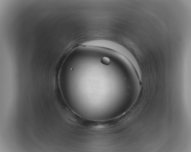 X0000111040312200907021604