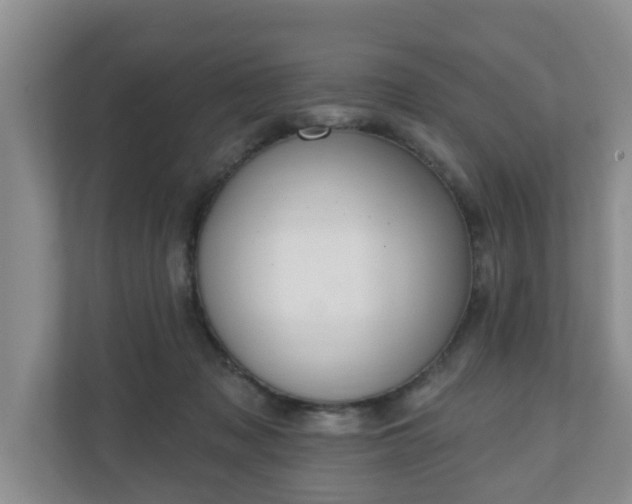 X0000111040317200907021604