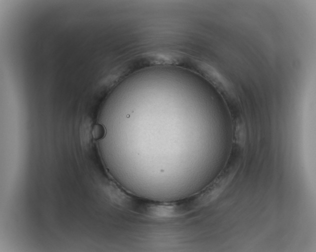 X0000111040318200907021604