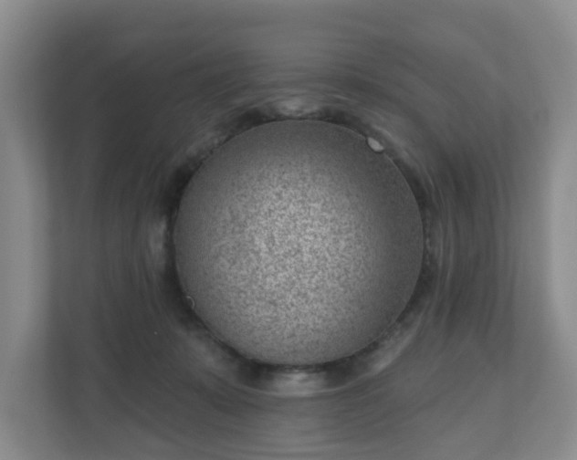 X0000111040319200907021604