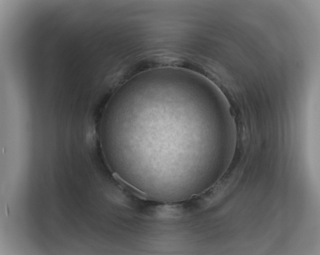 X0000111040320200907021604
