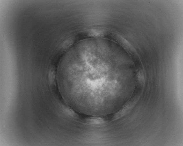 X0000111040322200907021604