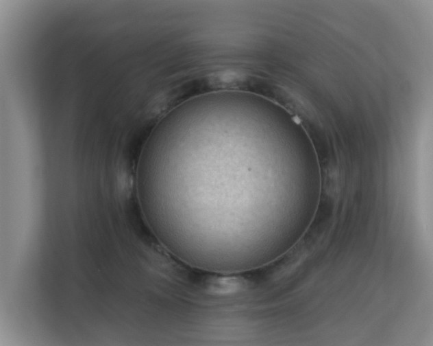 X0000111040324200907021604