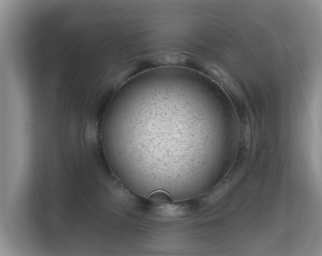 X0000111040326200907021604