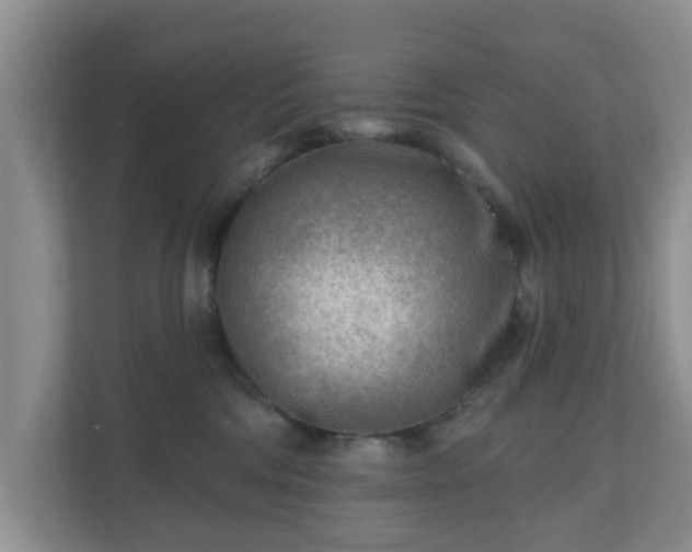X0000111040330200907021604