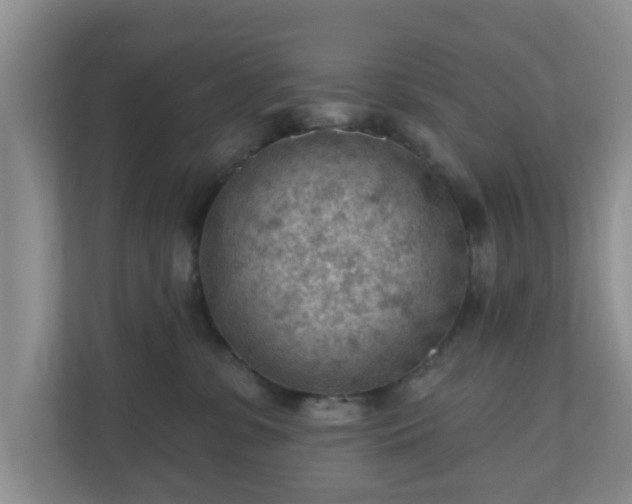 X0000111040331200907021604
