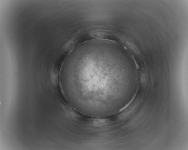 X0000111040332200907021603