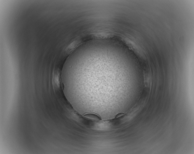 X0000111040334200907021603