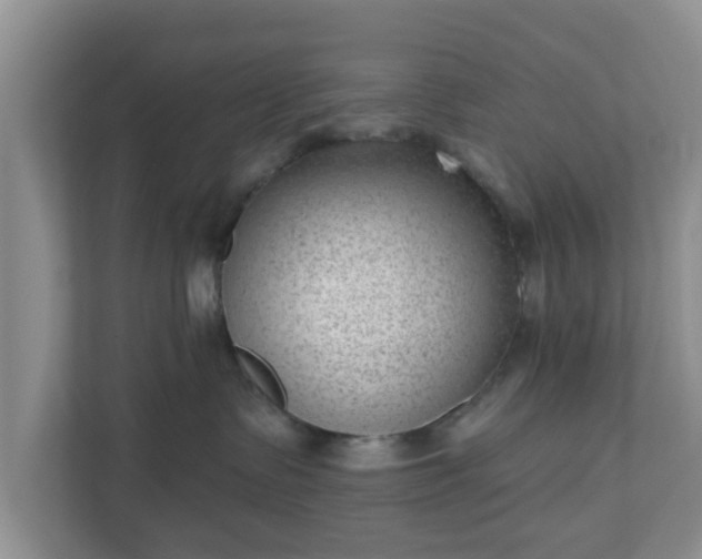 X0000111040335200907021603