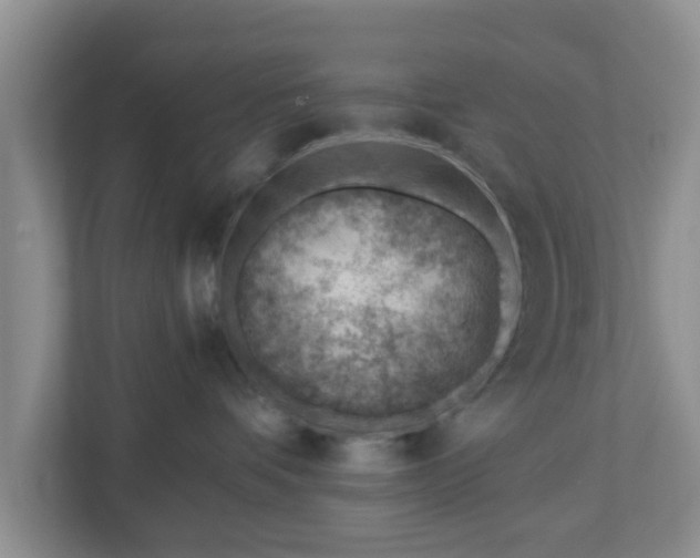 X0000111040336200907021603