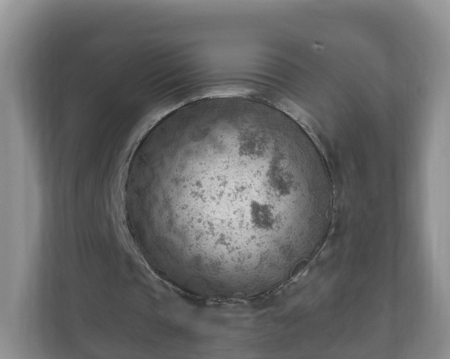 X0000111040337200907021603