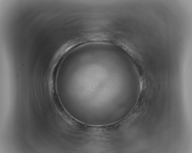 X0000111040339200907021603
