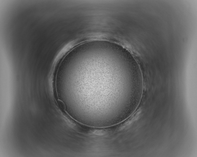X0000111040341200907021603