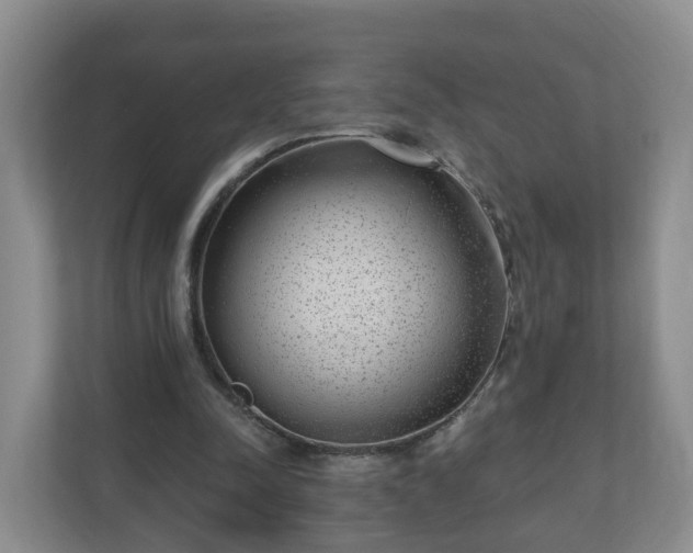 X0000111040342200907021603
